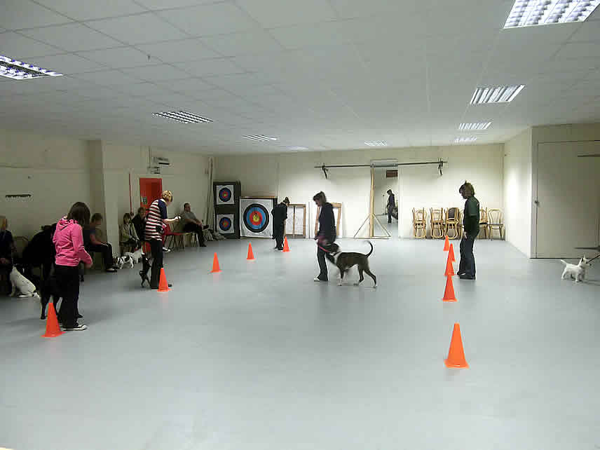 Puppy Training Classes Sheppey, Sittingbourne, Medway Towns, Faversham